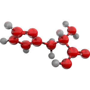 epigenetica epigenetica